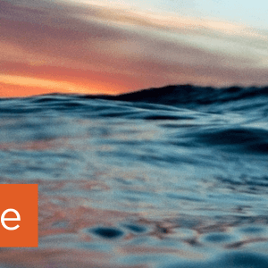 Microplastics in seafood might be less scary than we think, ocean waves at sunset in the background.
