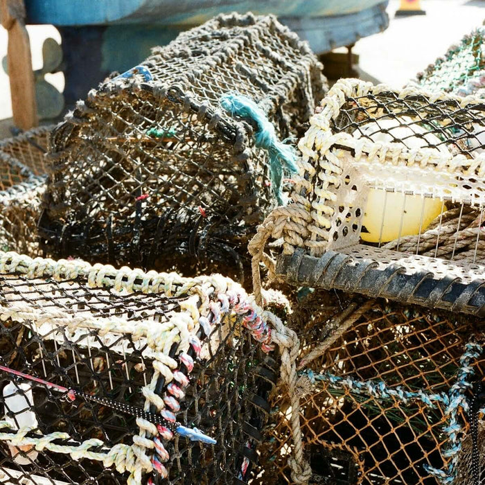 Choosing the Right Herring Bait Fishing Net Size - a close-up of fishing nets used for capturing herring.