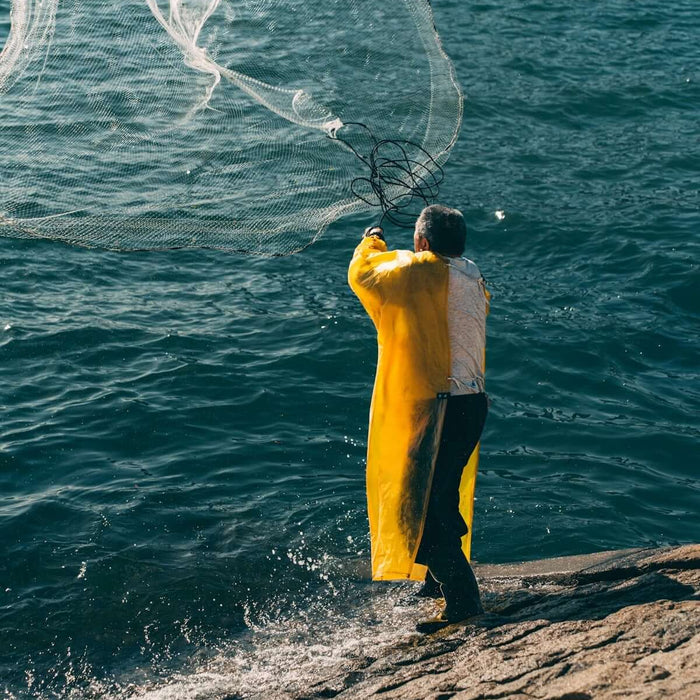 Person casting a Heavy-Duty Bait Drag Nets into the water from a rocky shore.