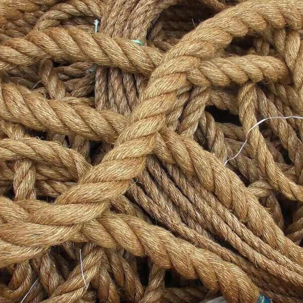 Rope for Fishing Guide: Expert Tips and Insights for 2026