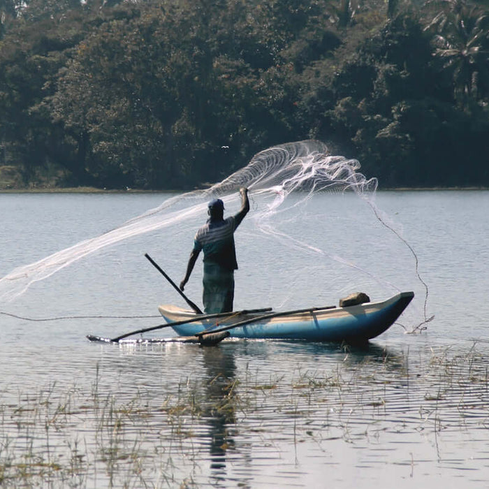 Fisherman casting a net from a boat, showcasing traditional fishing methods on tranquil water.