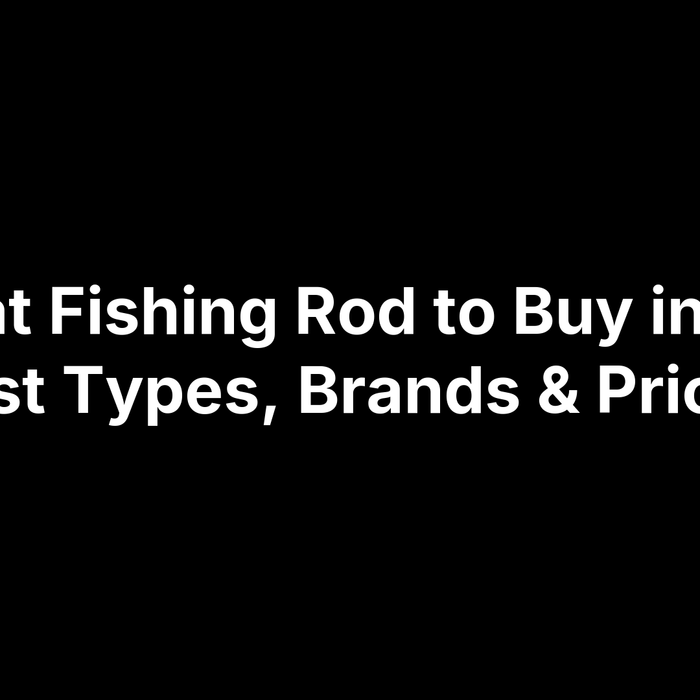 What Fishing Rod to Buy in NZ: Best Types, Brands & Prices