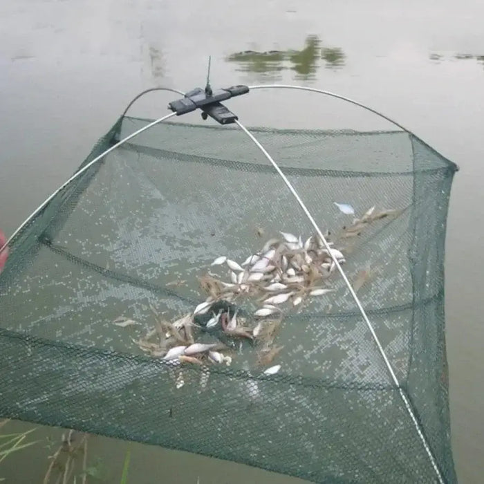 Shrimp Dip Net Guide: Expert Tips for 2025
