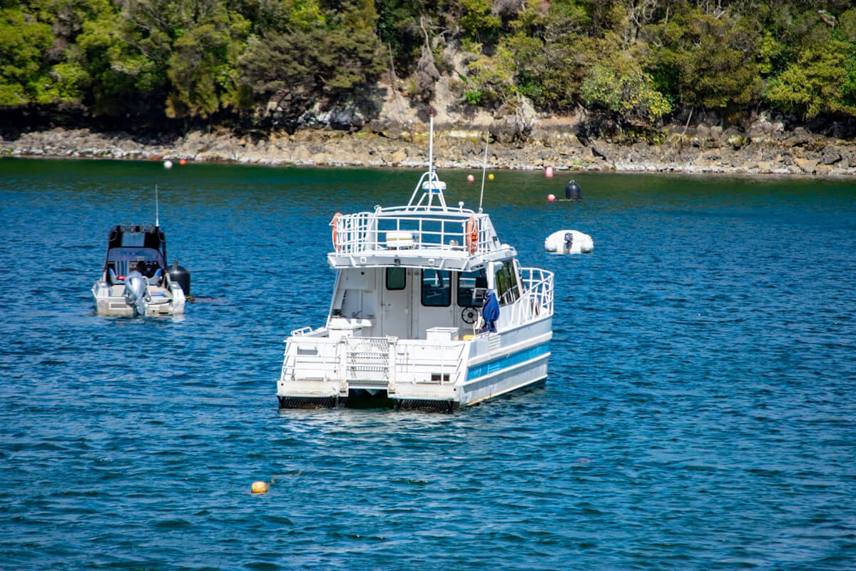 NZ Made Heavy Duty Flounder Beach Drag Nets in action on a sunny day with boats in the water.
