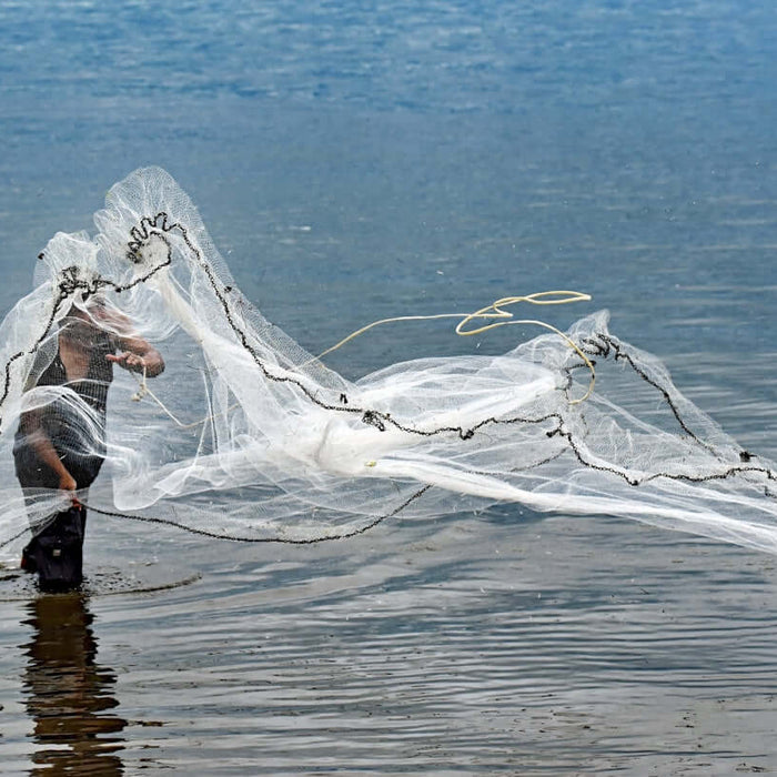 Person casting a fishing net into the water, showcasing skill and technique in a natural setting.