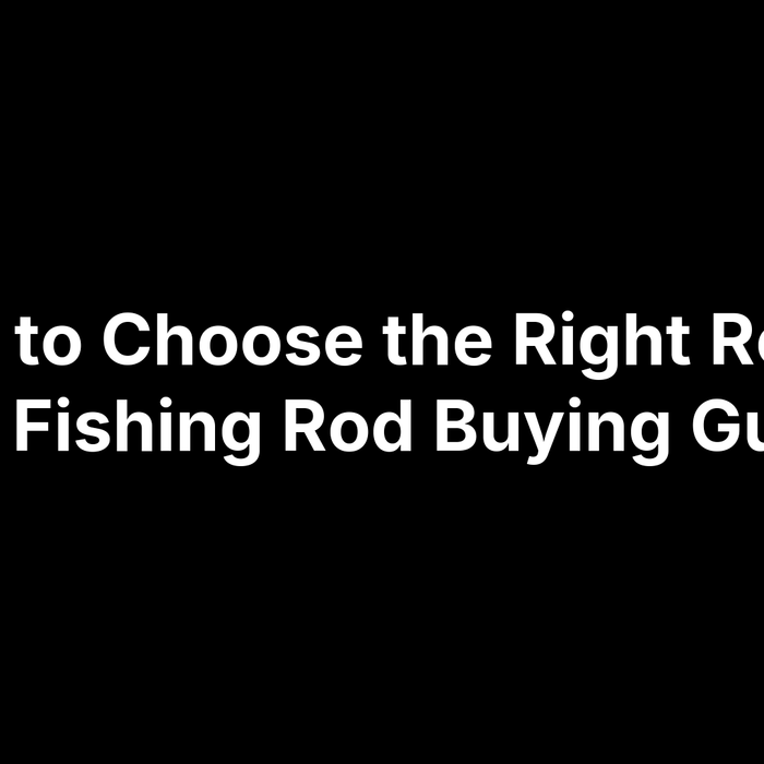 How to Choose the Right Rod in NZ: Fishing Rod Buying Guide