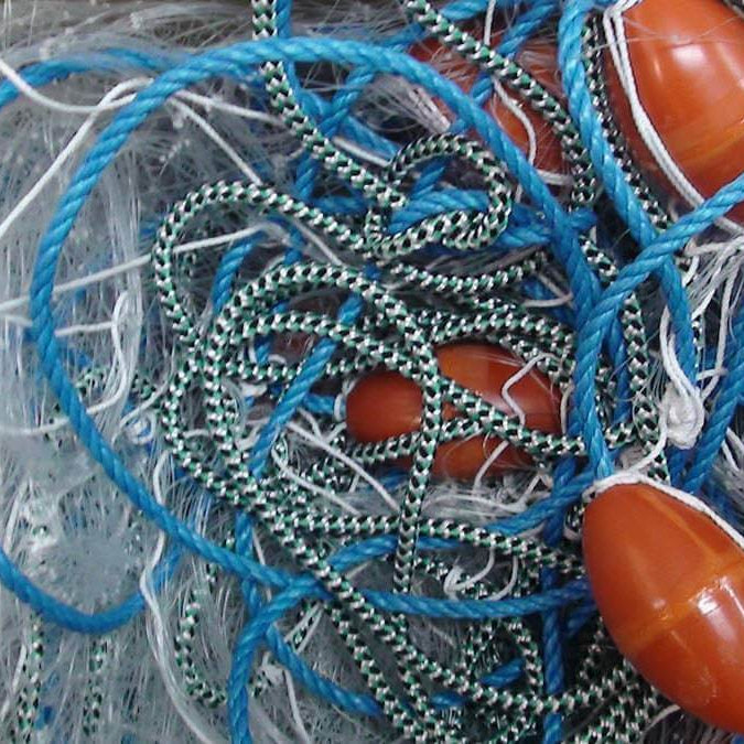 Snapper Net: 8 Best Options in NZ (Set, Drag & MPI Legal)