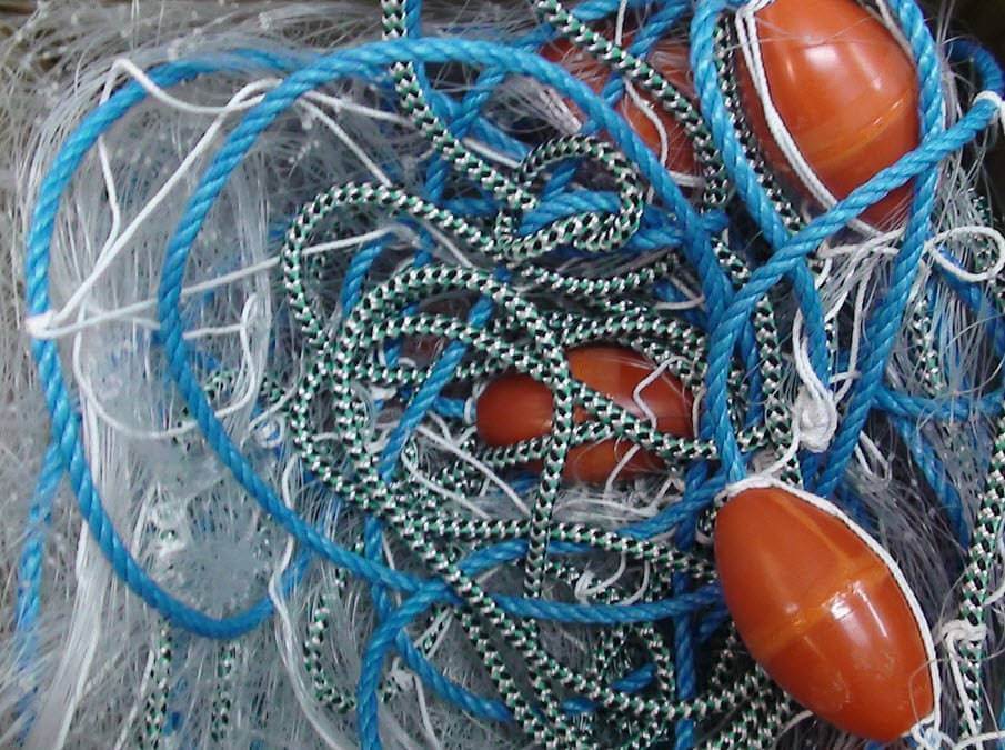 Snapper Net: 8 Best Options in NZ (Set, Drag & MPI Legal)