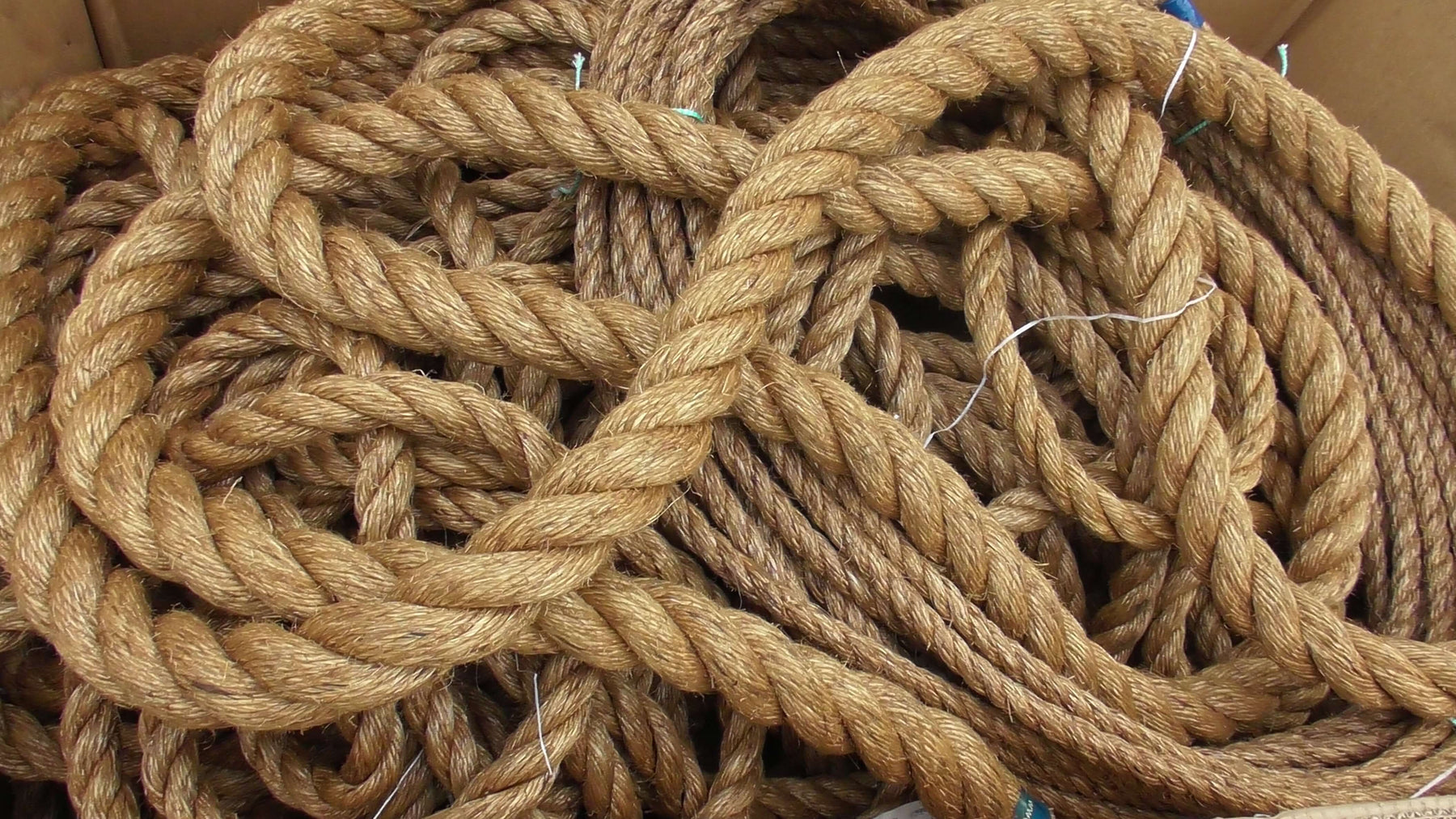 A collection of various textured ropes displayed for the Ropes Guide, showcasing different types for diverse uses.