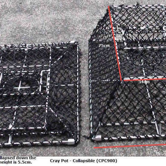 Lobster Hoop Net Guide: Essential Tips for 2025