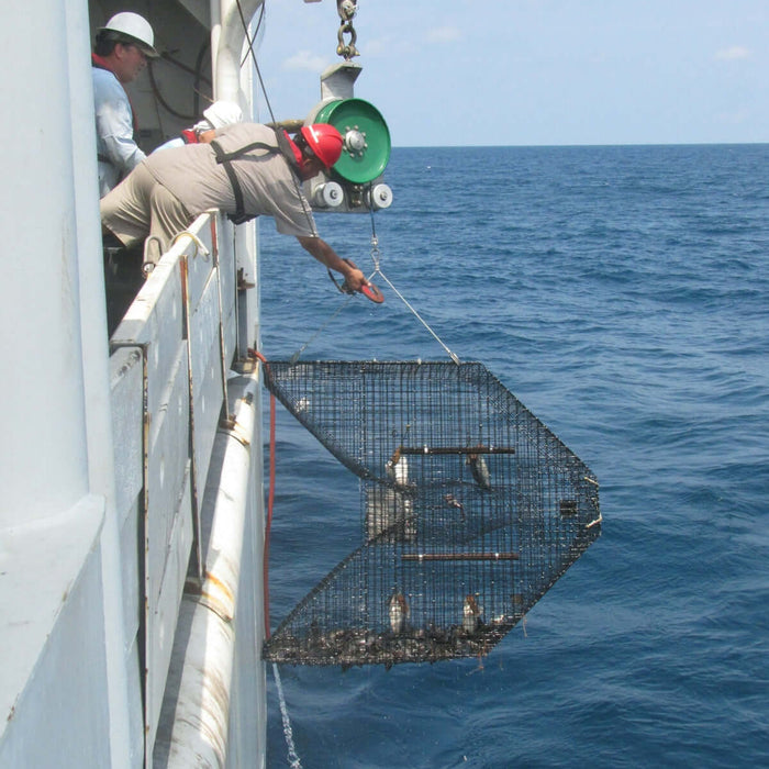 Man using Sea Harvester Berley Bag Standard BERBAG to catch fish from a fishing vessel in the ocean.