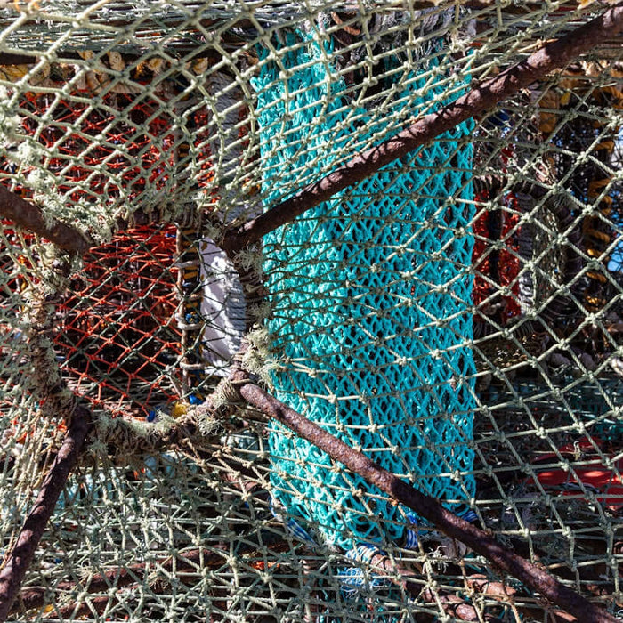 Benefits of Choosing the 118mm Unslung Mono Flounder Mesh seen in fishing net close-up.