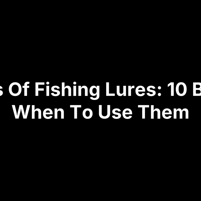 Types Of Fishing Lures: 10 Baits & When To Use Them