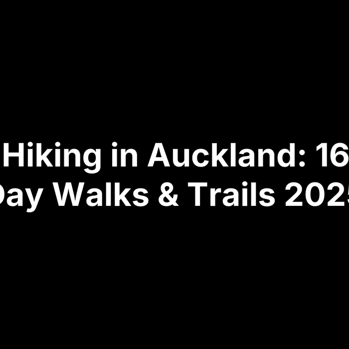 Best Hiking in Auckland: 16 Epic Day Walks & Trails 2025