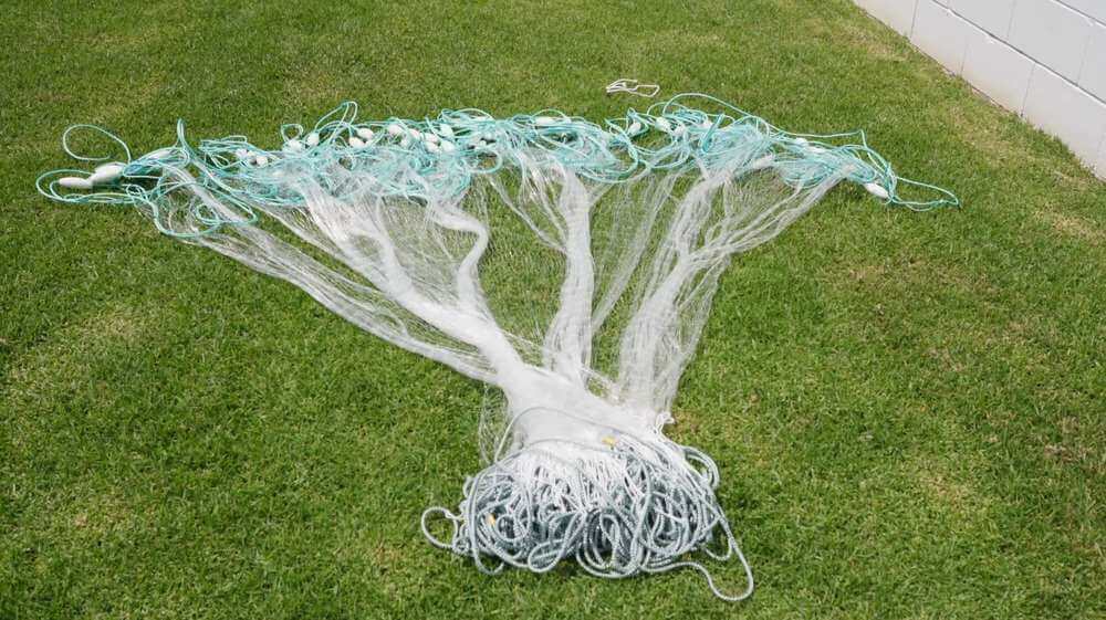 Enhance Your Fishing Success With 2.5 Inch Herring Bait Nets spread out on green grass.