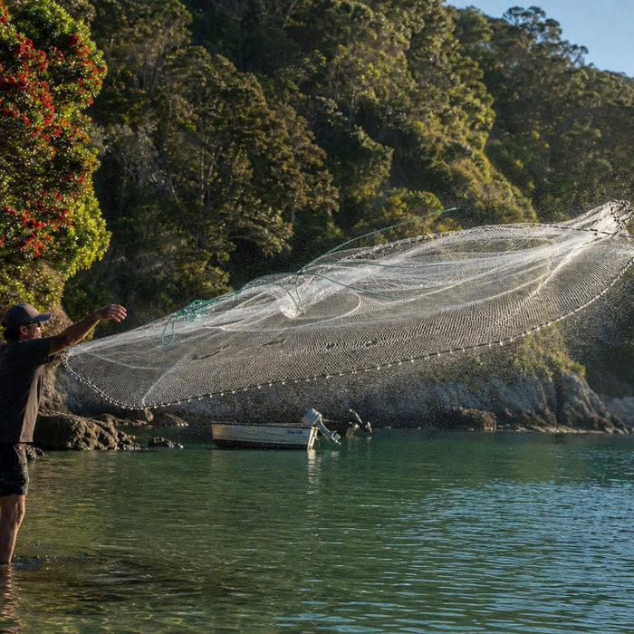 Angler throwing a 1 inch mesh cast net for bait in a sheltered northern New Zealand bay