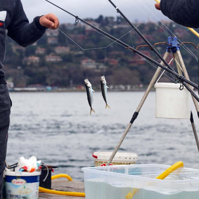 person holding fishing rod and fish