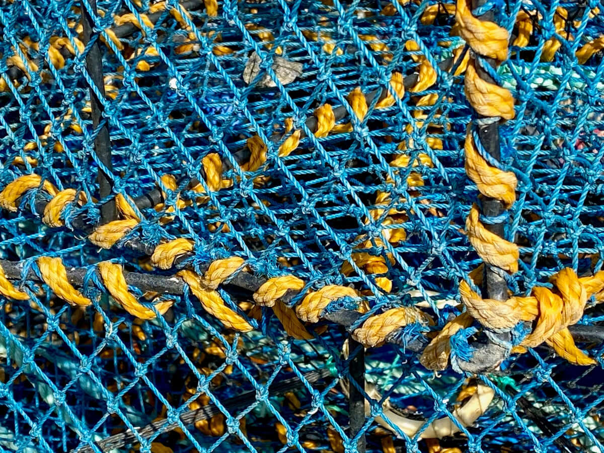 close-up of a 4mm braided lead core rope interwoven with blue and yellow strands, showcasing its durability and texture