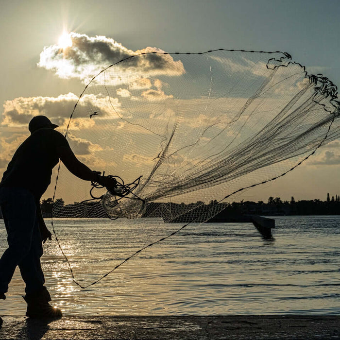 Person casting a net while fishing with 3 Inch 0.50mm Pacific Island Fishing Mesh at sunset.