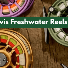 10 Must-Have Freshwater Fishing Gear Picks for 2025