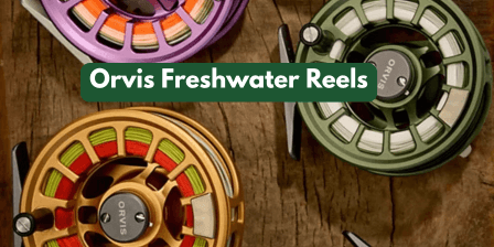 10 Must-Have Freshwater Fishing Gear Picks for 2025