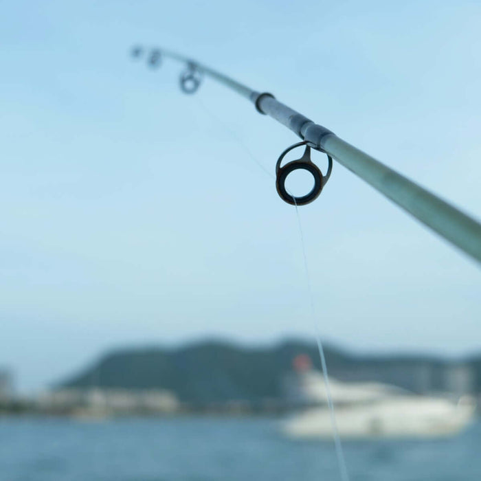 Shark Clip 2.0 fishing accessory 2.0 x 85mm Closed Gap on a fishing rod by the water.