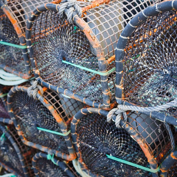 Close-up of flounder fishing mesh showcasing traps for a successful catch.