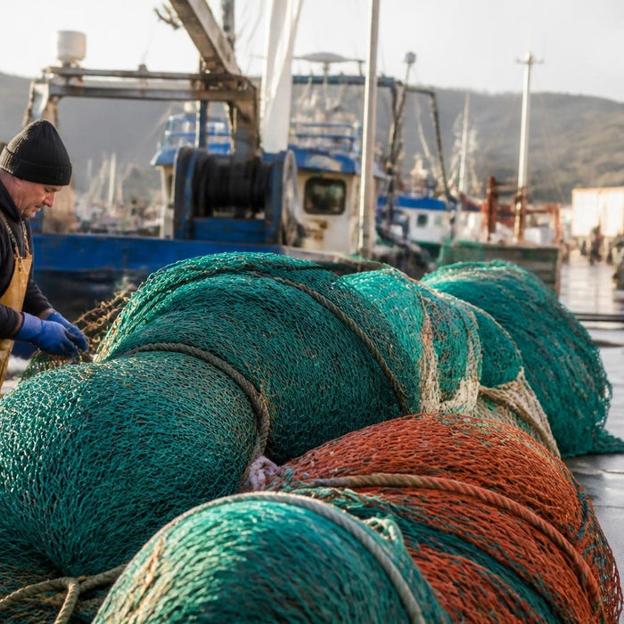Fishing Equipment Price: 2026 Market Guide & Cost Factors