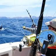 9 Essential Deep Water Fishing Gear Picks for 2025
