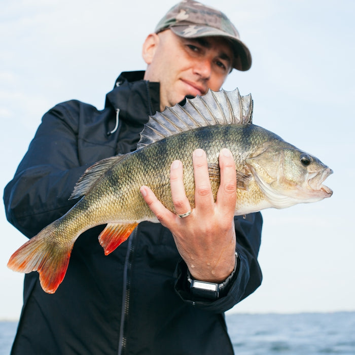 man holding grey fish with ocean background