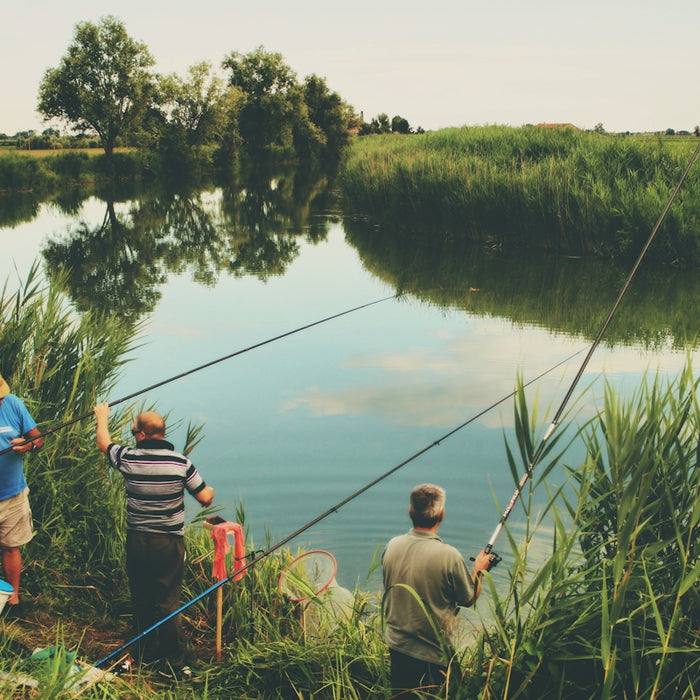 three men fishing during day