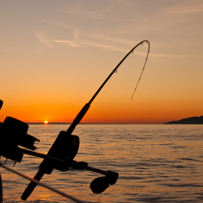 Understanding Freshwater vs. Saltwater Fishing