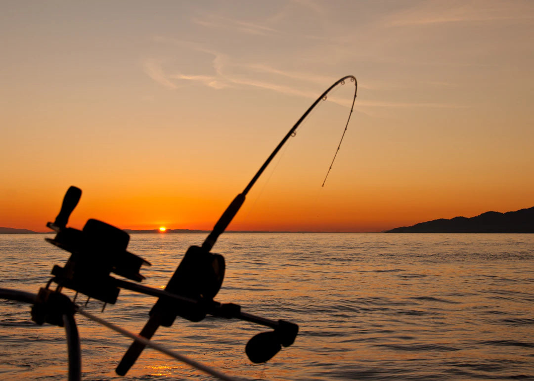 Plan Your Seasonal Fishing Trips for Success All Year