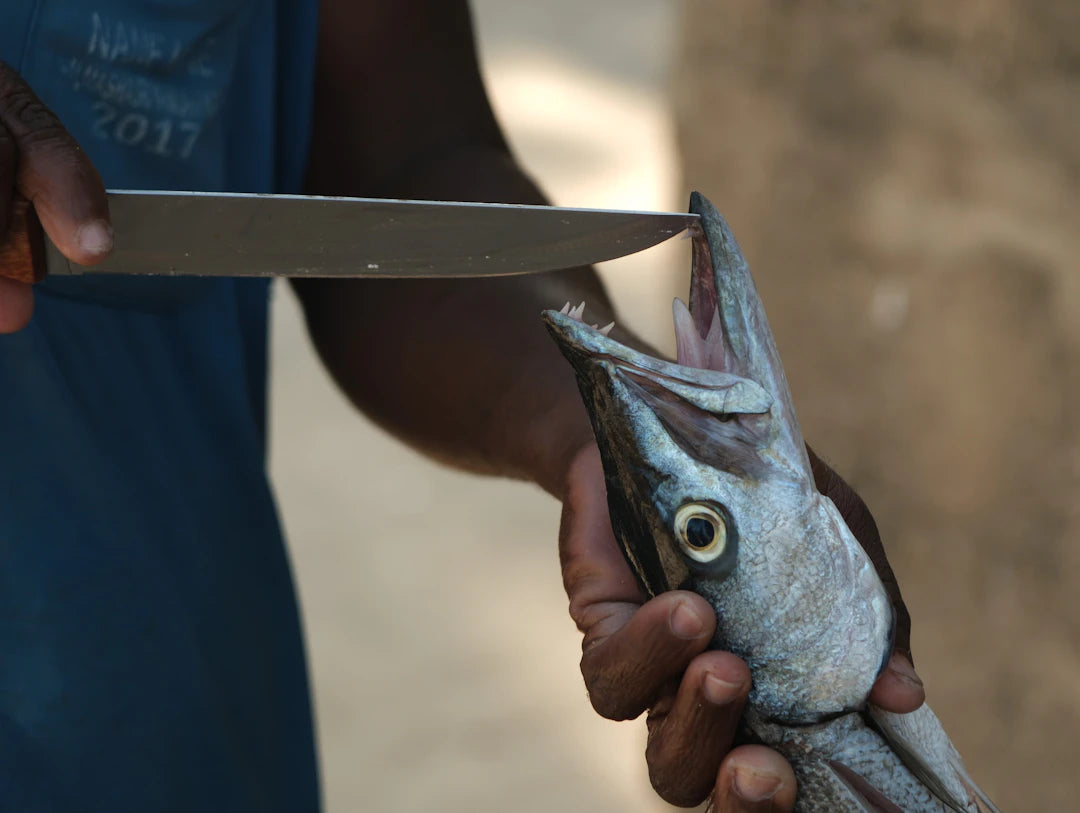 Precision Fishing Knives for Outdoor Enthusiasts