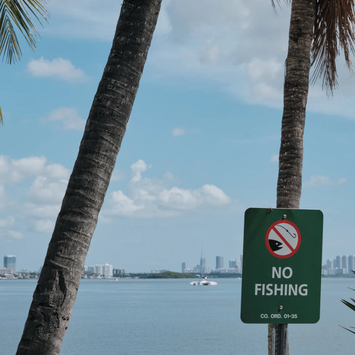 Local Fishing Regulations Essential Tips for Every Fisherman