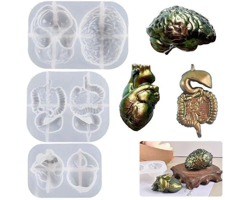 Resin Art NZ Silicone Mould 3D Silicone Molds for Simulated Human Organs 3D Silicone Molds for Simulated Human Organs | NZ