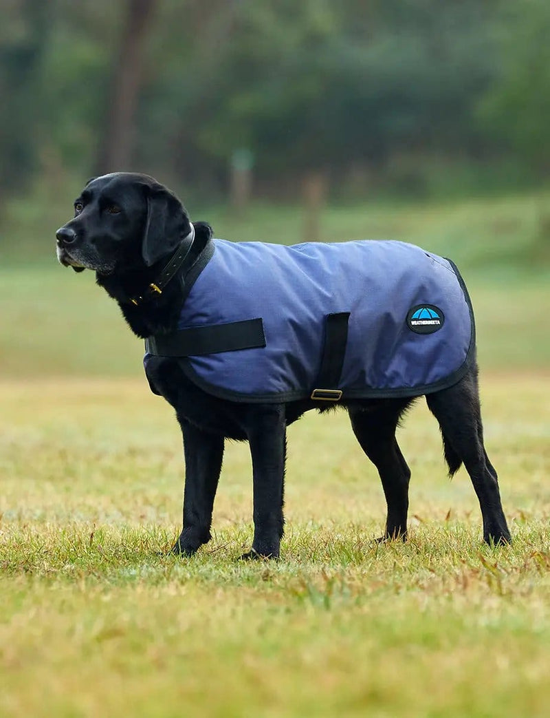 WeatherBeeta Outdoor coats WeatherBeeta ComFiTec Classic Waterproof Dog Coat WeatherBeeta ComFiTec Classic Waterproof Dog Coat