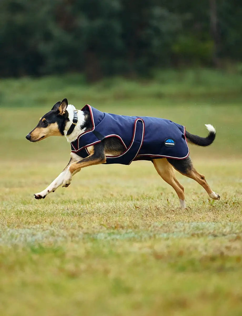WeatherBeeta Outdoor coats WeatherBeeta ComFiTec Premier Deluxe Waterproof Dog Coat WeatherBeeta ComFiTec Premier Deluxe Waterproof Dog Coat