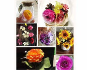 Silica Gel Flower Drying Crystals Indicator – view 6
