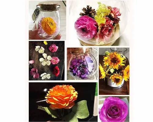 Silica Gel Flower Drying Crystals Indicator – view 6