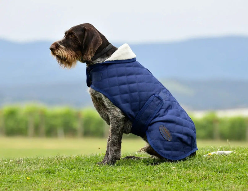 WeatherBeeta Clearance WeatherBeeta ComFiTec Deluxe Diamond Quilt Dog Coat WeatherBeeta ComFiTec Deluxe Diamond Quilt Dog Coat