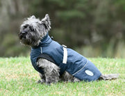 WeatherBeeta Clearance WeatherBeeta Explorer Medium Dog Coat WeatherBeeta Explorer Medium Dog Coat