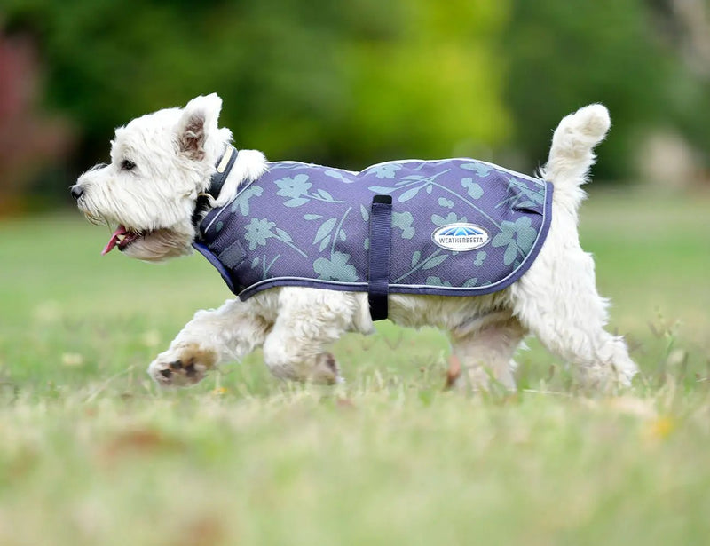 WeatherBeeta Clearance WeatherBeeta ComFiTec Premier Free Parka Dog Coat Medium WeatherBeeta ComFiTec Premier Free Parka Dog Coat Medium