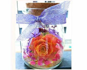 Silica Gel Flower Drying Crystals Indicator – view 4