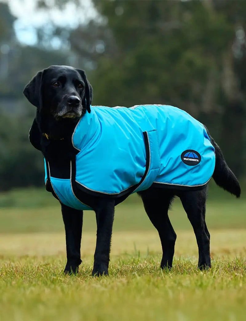 WeatherBeeta Outdoor coats WeatherBeeta ComFiTec Reflective 300D Deluxe Showerproof Dog Coat WeatherBeeta ComFiTec Reflective 300D Deluxe Showerproof Dog Coat