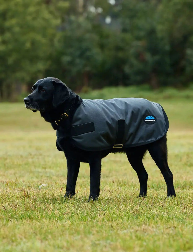 WeatherBeeta Outdoor coats WeatherBeeta ComFiTec Classic Waterproof Dog Coat WeatherBeeta ComFiTec Classic Waterproof Dog Coat