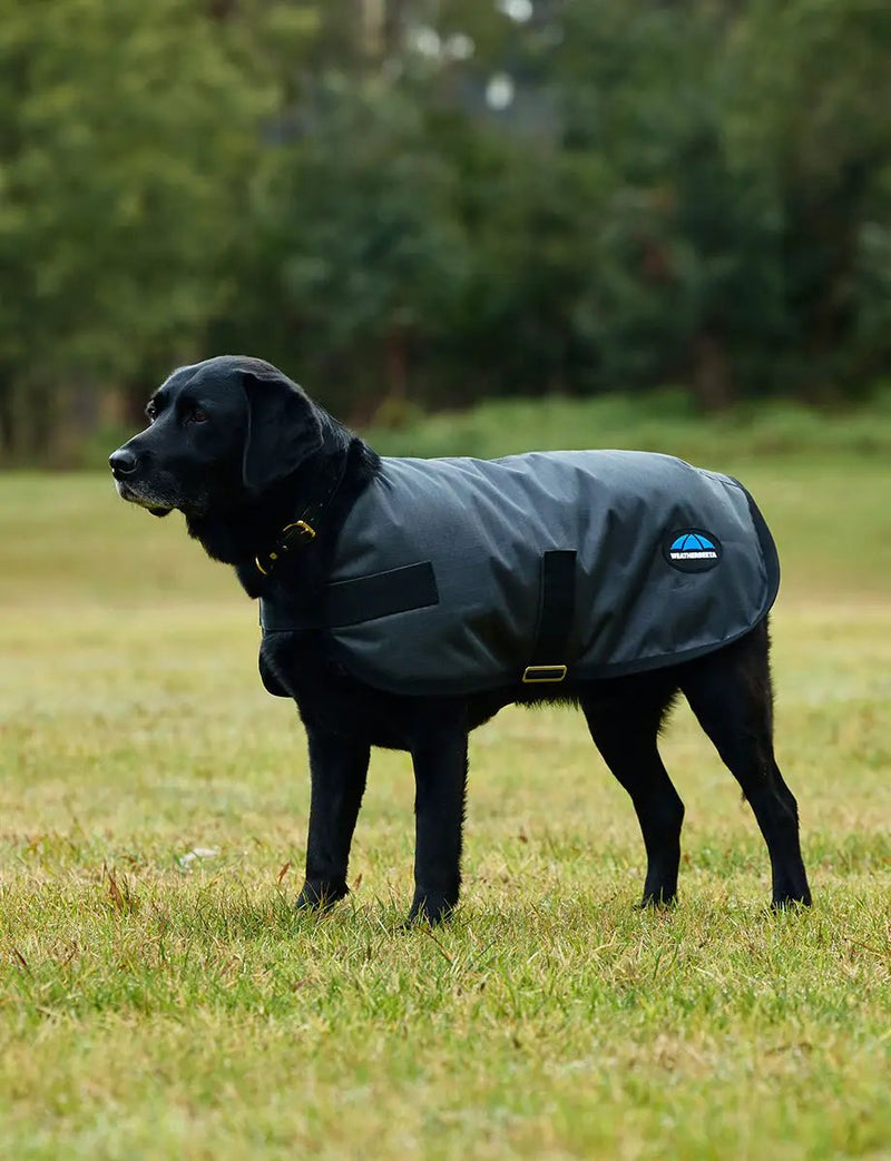 WeatherBeeta Outdoor coats WeatherBeeta ComFiTec Classic Waterproof Dog Coat WeatherBeeta ComFiTec Classic Waterproof Dog Coat