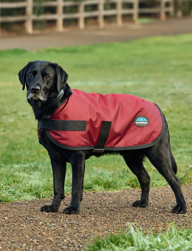 WeatherBeeta Outdoor coats WeatherBeeta ComFiTec Classic Waterproof Dog Coat WeatherBeeta ComFiTec Classic Waterproof Dog Coat