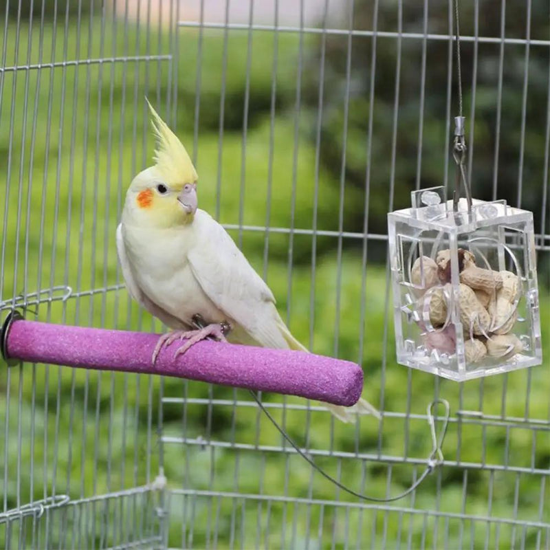 salelink.co.nz Unbranded Bird Parrot Feeder Bird Parrot Feeder | Action Outdoors NZ