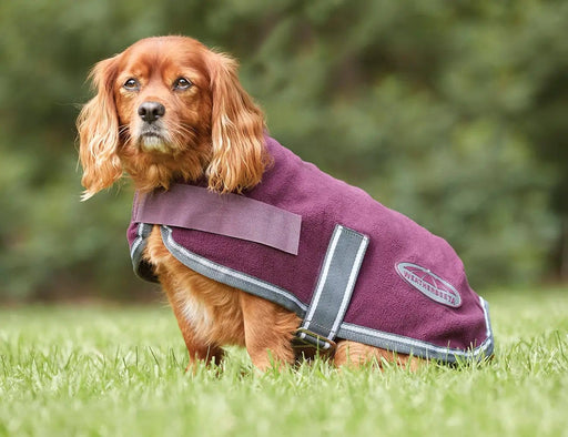 WeatherBeeta Dog coats WeatherBeeta ComFiTec Fleece Dog Coat WeatherBeeta ComFiTec Fleece Dog Coat